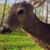 Scott Bell's profile image
