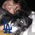 Marie Garcia Lewis's profile image
