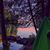Arthur F Torrone III's profile image