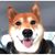 Patricia Mennillo's profile image