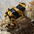 Philip J Wilcox's profile image
