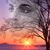 Khalilah Shah Briscoe's profile image