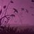 Silvia Arredondo's profile image