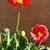Deb Velarde's profile image