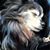 Esther Heck Salinas's profile image