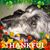 Debra Doherty's profile image