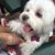 Barbara Shold's profile image