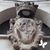 Gianvito Guida's profile image