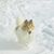 Mary Broderick-Jackson's profile image
