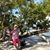 Judi Evinic's profile image