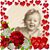 Marge Nylund's profile image