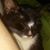 Jolene McGee's profile image