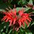 Paige Hundley White's profile image