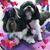 Pat Smith's profile image