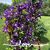 Kathy Williams Blemmel's profile image