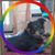 Kathie Mcadams's profile image