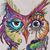 Shawna Albus's profile image