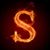 Sara Ann Vickery's profile image