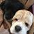 Jeanne M. Fields's profile image