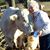 Shirley Hall's profile image