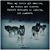 Twila Johnson's profile image