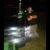 Allen Wayne Whitney's profile image