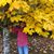 Courtney Crofford's profile image