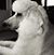 Tonya Martin Glisson's profile image