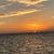 Christine Schnitzer's profile image