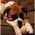 Tracey Powell Saunders's profile image