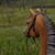 Tracy Larson's profile image