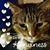 Carol Ferger's profile image