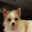 Scott Green's profile image