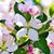 Tina Hawley Hansen's profile image
