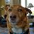 Cathy Brown Kudich's profile image
