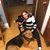 Joanie LaPorte's profile image