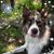 Stephanie Hastings's profile image