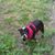 Paula Bibbee's profile image