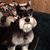 Merry Rogers Collins's profile image
