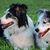 Susan Conwell Reichlin's profile image