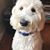 Darlene Brum Gidley's profile image