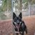 Susan Mike Gray's profile image