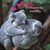 Keith Shiro Roxas Blair's profile image