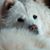 Debbie Perkins's profile image