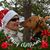 Sherry Roy's profile image