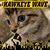 Jeanne Patterson's profile image