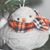 Tricia Attaway Baker's profile image