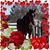 Meghan Connolly's profile image