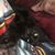 Kirsten Annett's profile image