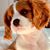 Mary Sparrow Robles's profile image